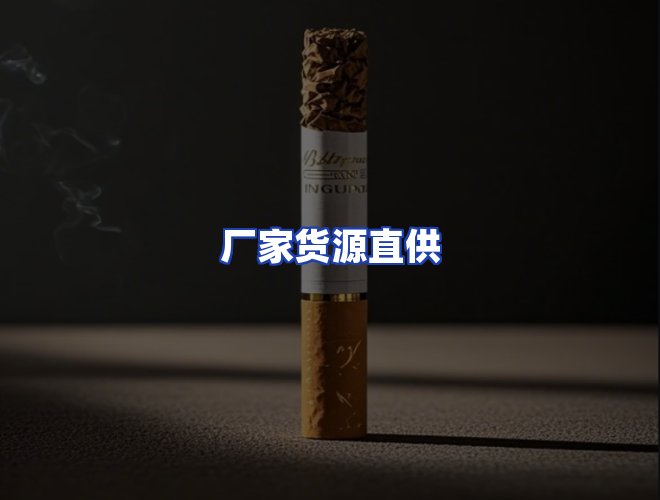 专业团队